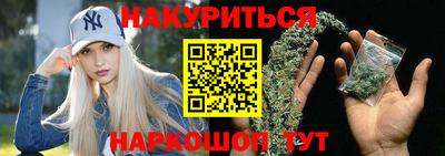 сатива Бердск