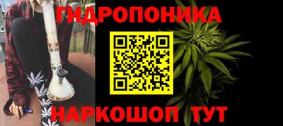 сатива Бердск