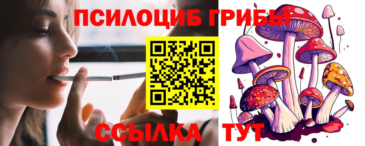 Псилоцибиновые грибы ЛСД Дзержинский